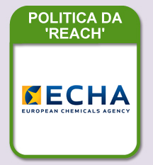 REACH Policy