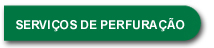 perforation services